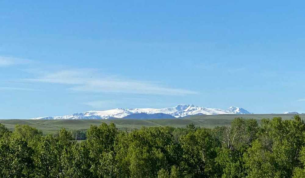 Park Image 5