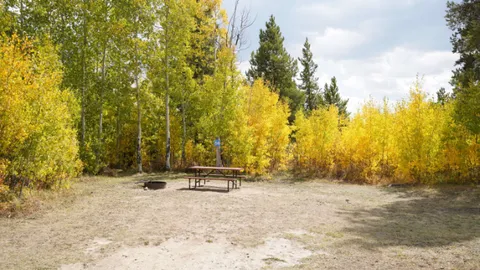 Tent Site/No utilities — image 4 of 4