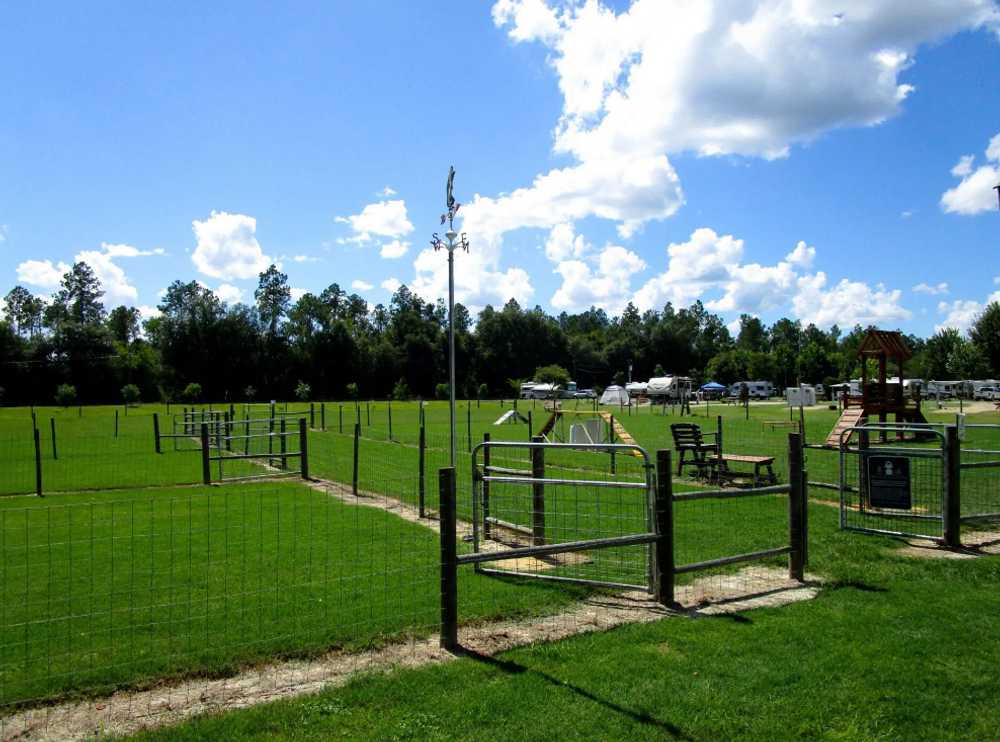 Suwannee River Rendezvous Resort and Campground - Photo 3