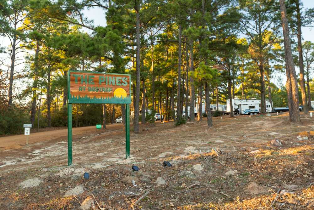 The Pines at Bastrop RV Park - Photo 5