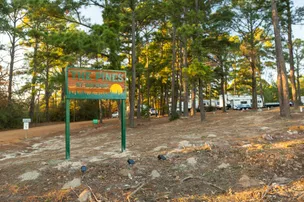 The Pines at Bastrop RV Park – photo 5