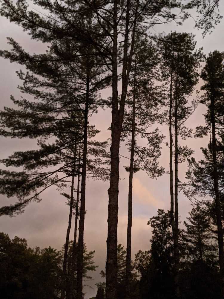 Park Image 18