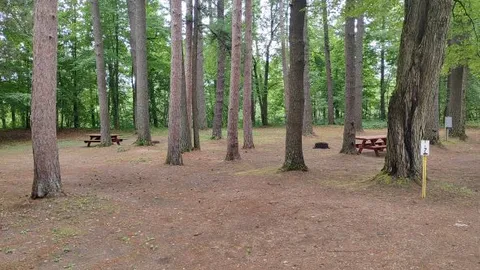 Rustic Pop-up/Tent Site — image 1 of 4