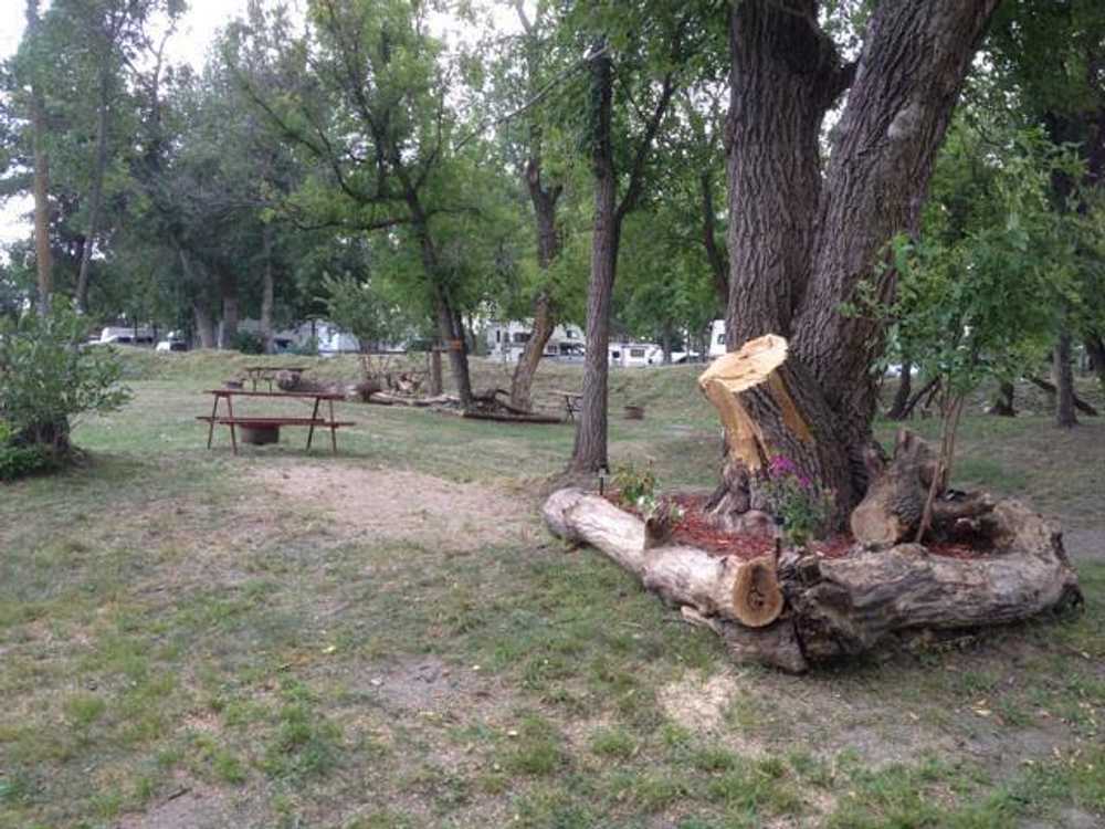 RoughRider RV Resort - Photo 5