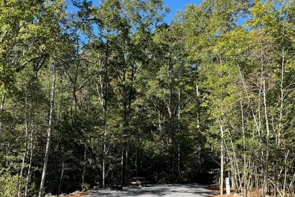 Heaven In The Hills Campground – photo 1