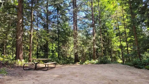 Evergreen Drive-In Tent Site — image 7 of 7
