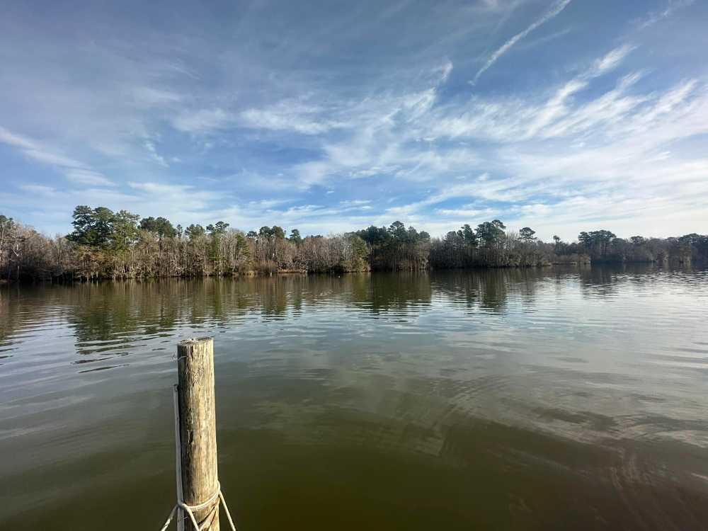 Bells Marina & Resort Eutawville, South Carolina Campspot