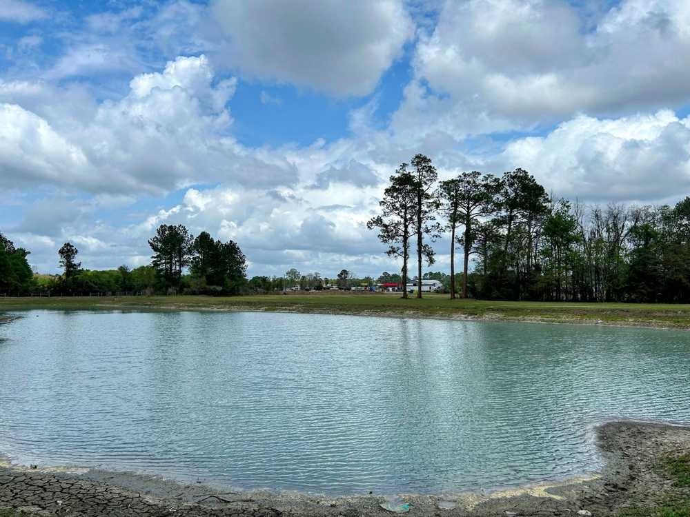 Park Image 5