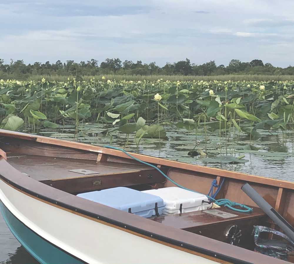 Riverview RV Park Bay AL Bay Alabama Campspot