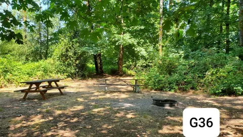 Group Tent Site — image 1 of 3
