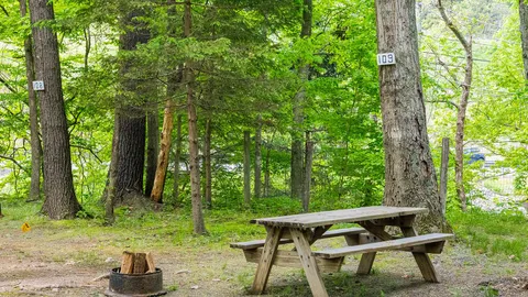 Deluxe RV Site — image 5 of 5