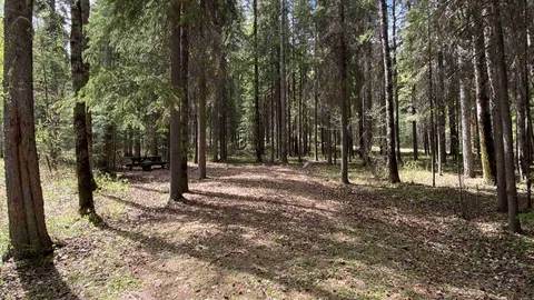 Primitive Single Unit RV Site — image 1 of 3