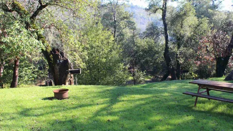 Primitive Tent Site — image 1 of 6