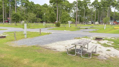 Standard Water and Electric Back-In RV Site — image 12 of 12