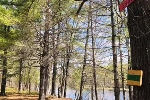 West Forks Family Campground – photo 4