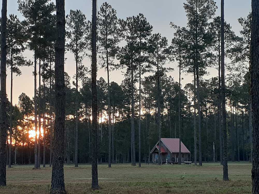 Broxton Bridge Campgrounds, Ehrhardt, South Carolina - Photo 5