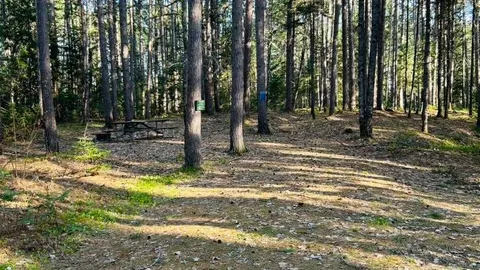 WOODED SITE 17 — image 4 of 4
