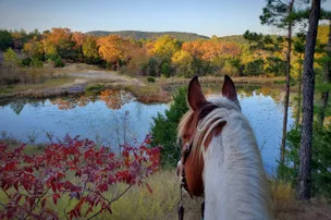 Heaven's Gate RV Park and Retreat – photo 2