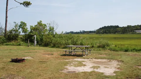 Standard Water and Electric Back-In RV Site — image 2 of 12