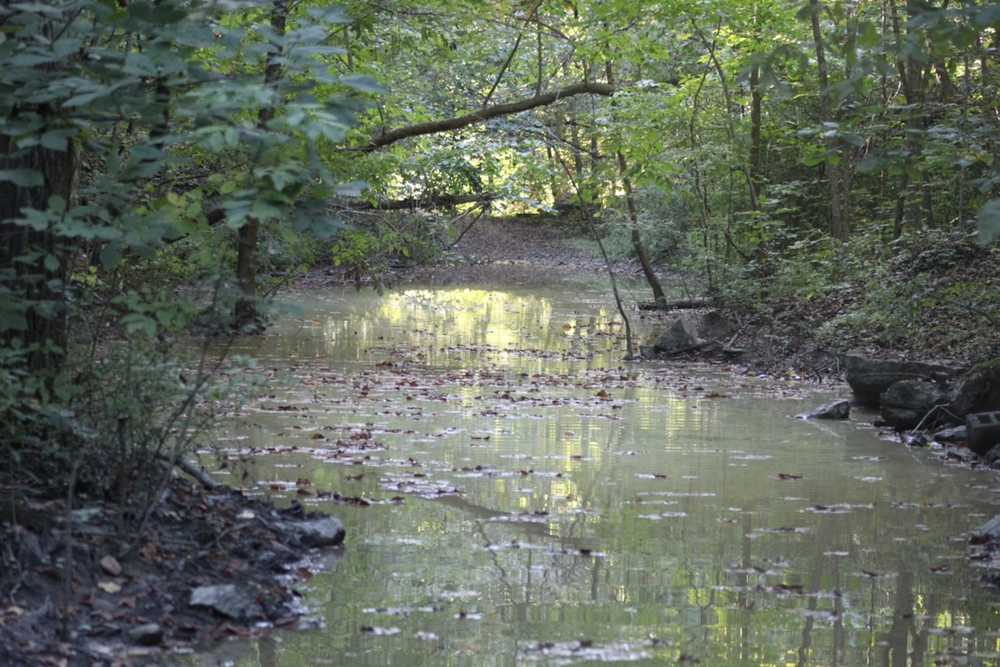 Valley View Campground