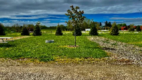 Primitive Tent Site — image 1 of 1