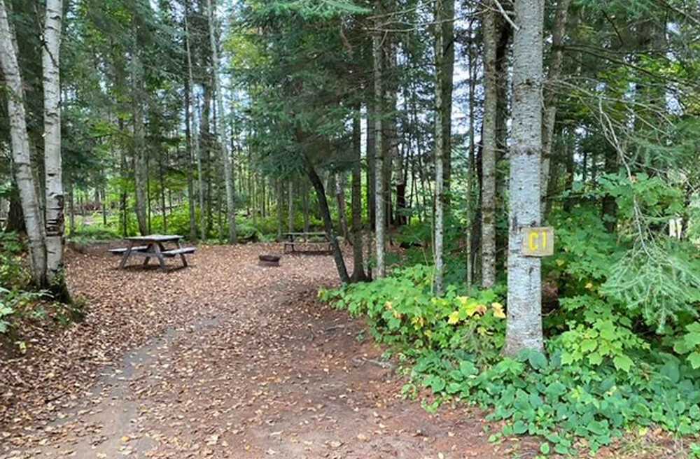 Park Image 6