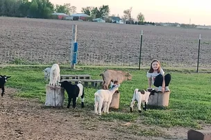 Bellinger's Liberty Acres Fainting Goats and Campground – photo 5