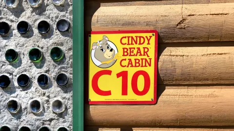 Cindy Bear Cabin — image 2 of 11