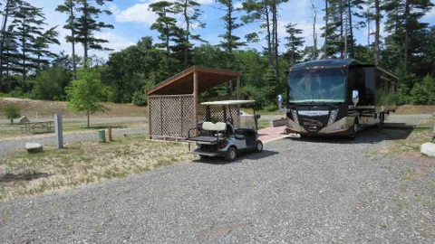 Premium with Patio Pull-Thru RV Site — image 1 of 1