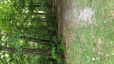 Tent site/small pop up - Water and 110V electric only — image 2 of 4