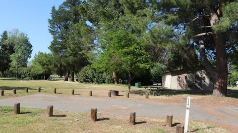 Cottonwood Non-Premium 8-Person site — image 1 of 1