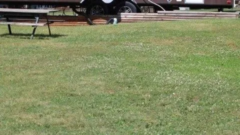 Water/Electric/Sewer Tent/Pop-up/Small Travel Trailer Site — image 2 of 3