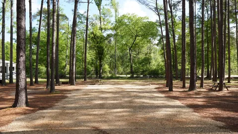 Standard Lagoon Back-In — image 1 of 2