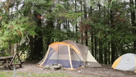 Primitive Morningside Camping Site — image 1 of 4