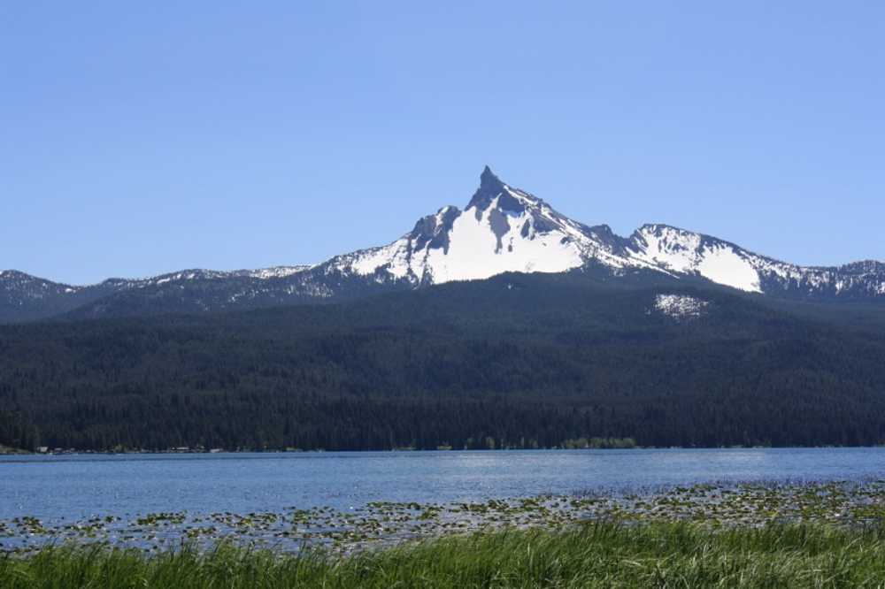 Diamond Lake RV Park - Photo 2
