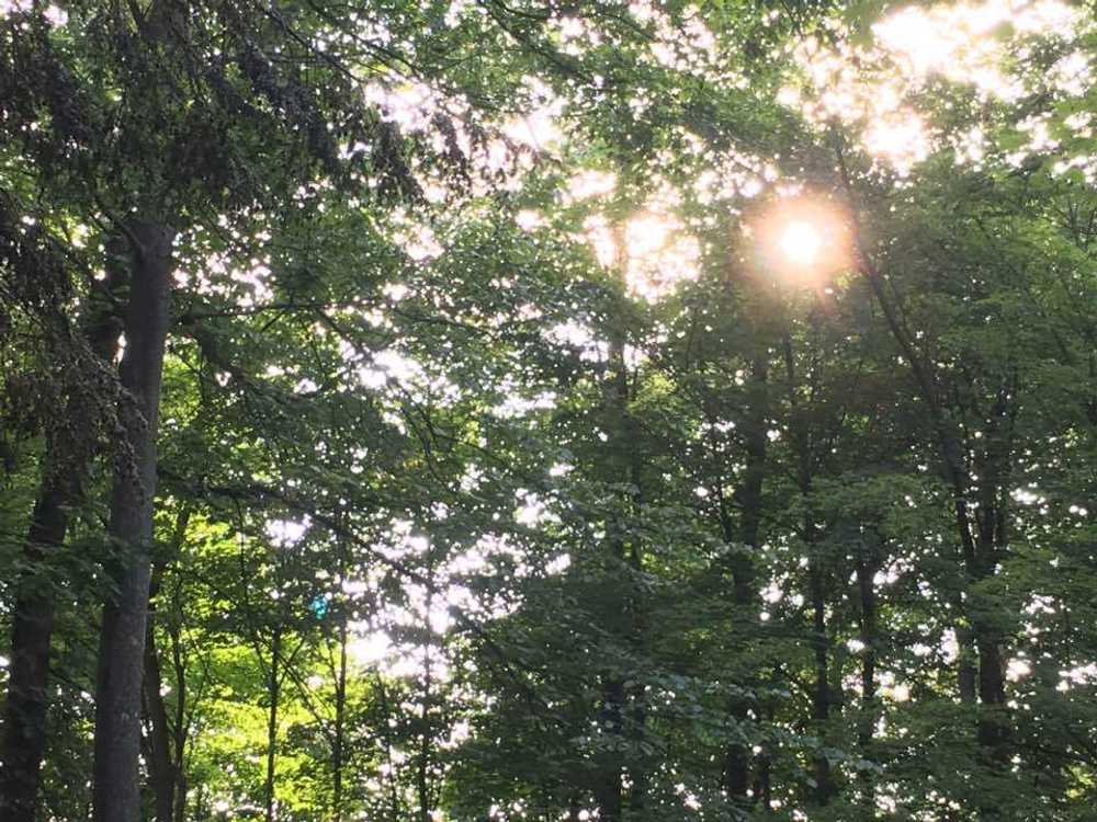 Sportsmans Hideaway RV Park - Main Photo