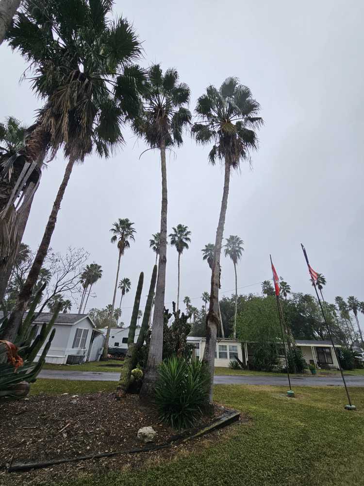 Park Image 8