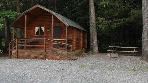 2 Room Primitive Cabin — image 1 of 3