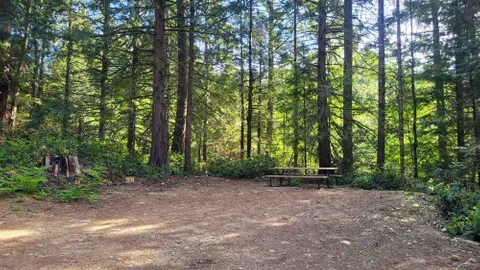 Evergreen Drive-In Tent Site — image 1 of 7