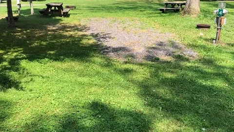 Full Hookup 30 Amp Pull Through RV Site — image 4 of 4