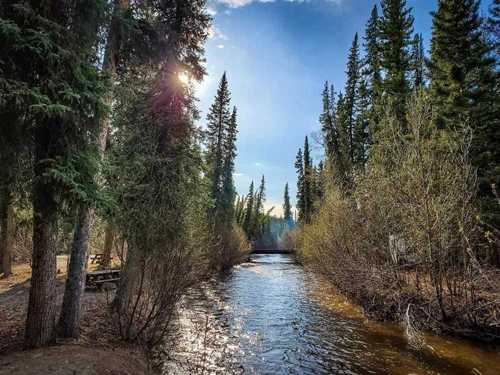 Tolsona Wilderness Campground