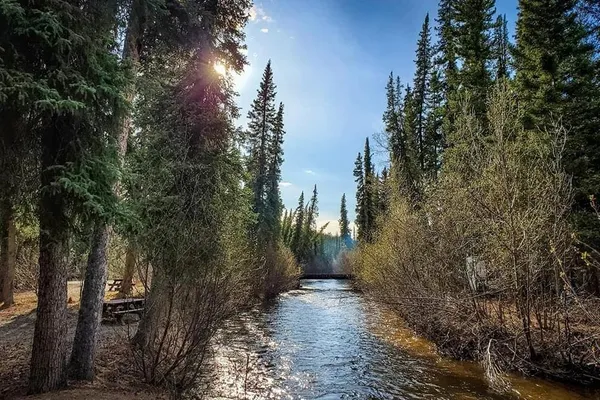 Tolsona Wilderness Campground – photo 1