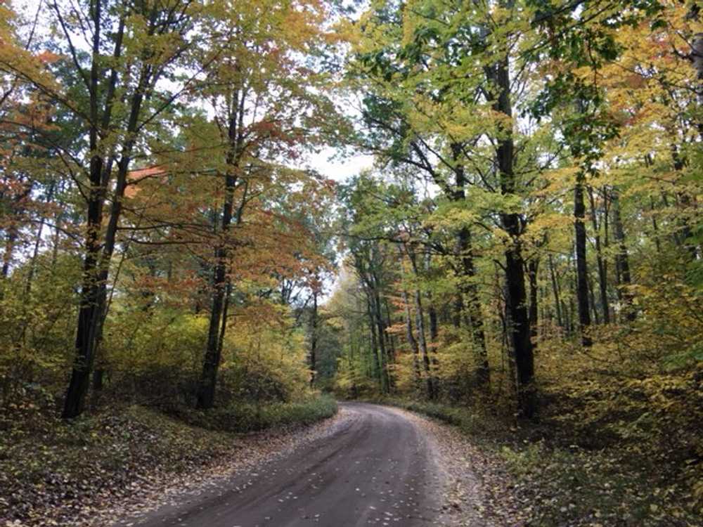 Whiskey Creek Campground, Custer, Michigan