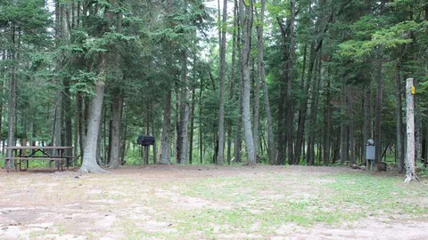 Water/Electric/Sewer RV Site — image 6 of 6