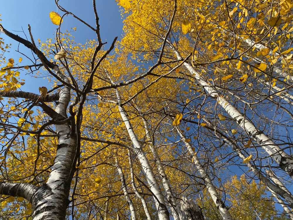 Park Image 8