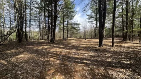 Group Tent Site-Water & Electric Only-Site 21 — image 1 of 2