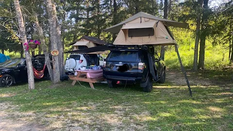 Standard RV Stall (Treed) — image 3 of 3