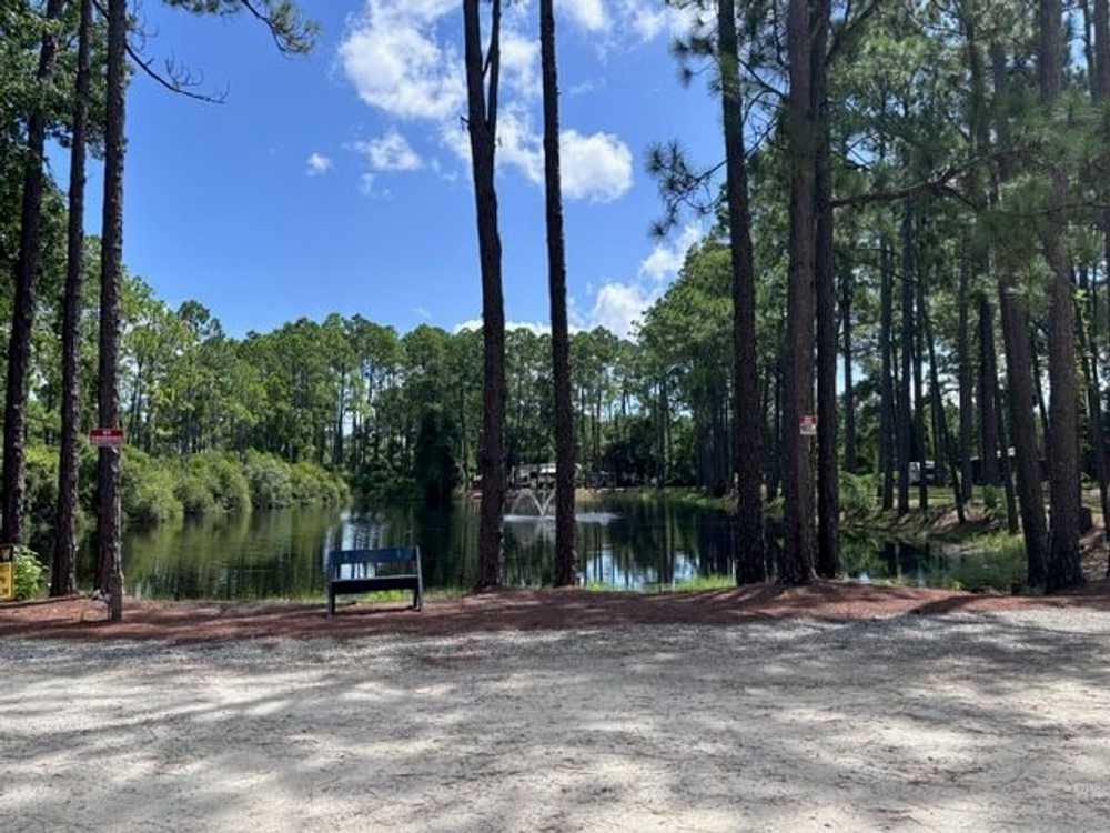 Pineglen Motorcoach & RV Park - Photo 5