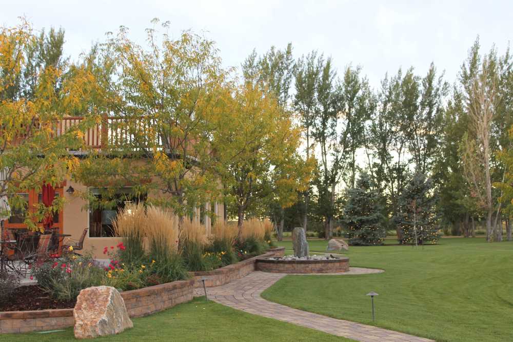 Park Image 7