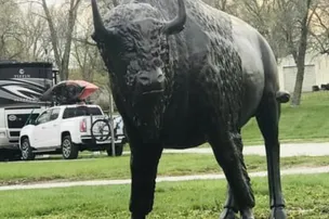 Buffalo Run RV Park – photo 4